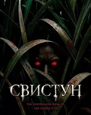 Свистун